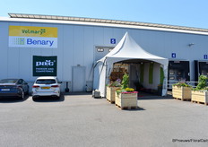 Bij Kebol presenteerde Volmary, Benary en Elsner Pac hun varieteiten